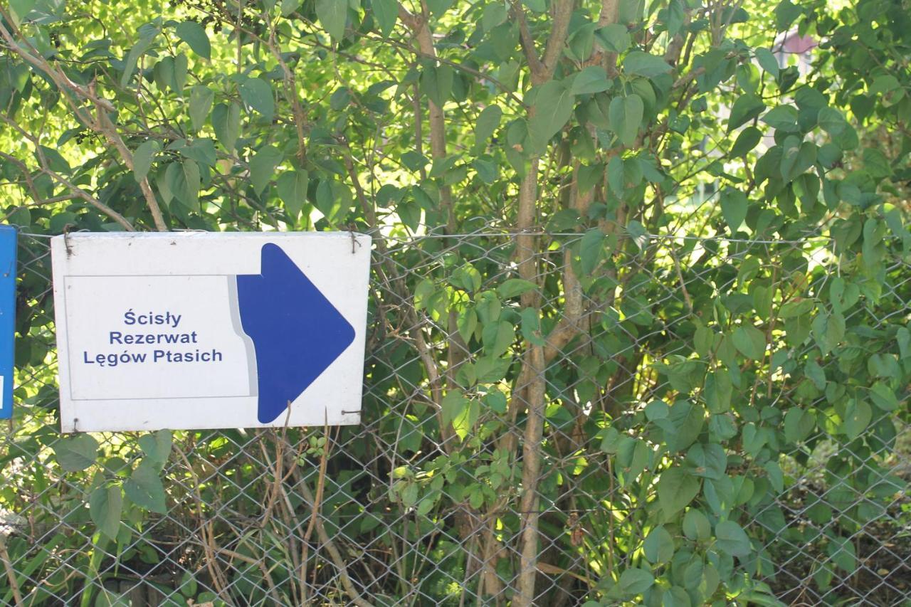 Przystanek Kaszuby Leba
